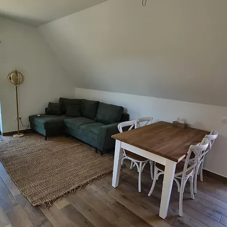 Apartment Martinus Vendeghaz *